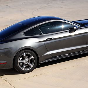 Profile 95