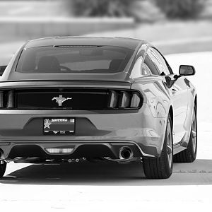 Profile 96