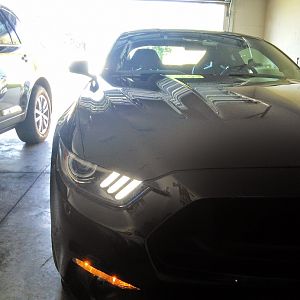 pretty in the garage