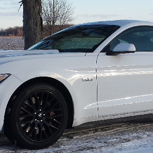 2015 Ford Mustang GT 5.0, MT82, 3:73 rear end, Brembo brakes
