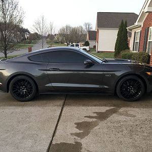 tintS550potato17
