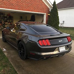 tintS550potato18