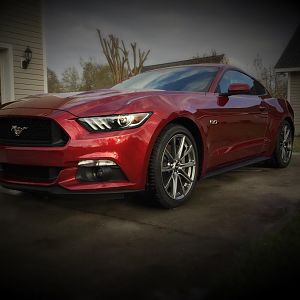 Freshly washed