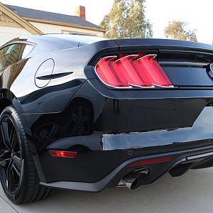 Rear View