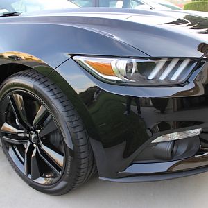 Front View