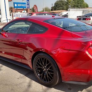 Mustang2015