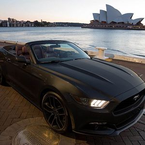mustangblack