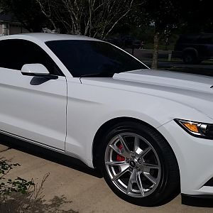 Roush quarter window scoop, quarter panel scoop and rocker winglets