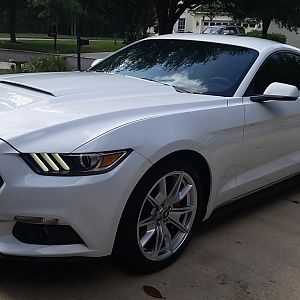 Roush quarter window scoop, quarter panel scoop and rocker winglets