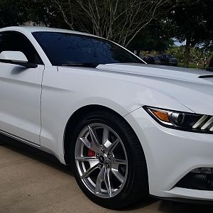 Roush quarter window scoop, quarter panel scoop and rocker winglets