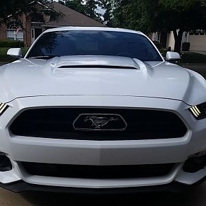 Front w/Roush Hood Scoop