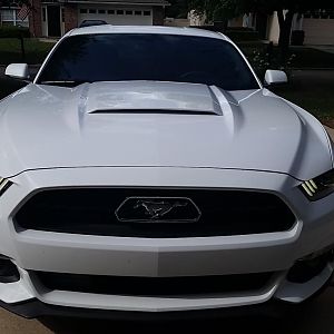 Front w/Roush Hood Scoop