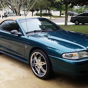 mustang