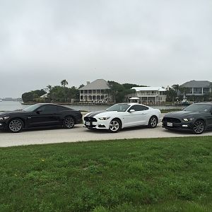 IMG 1858