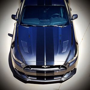 2015 GT