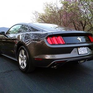 Driveway Shot