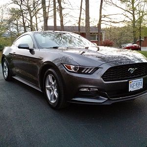 Driveway Shot