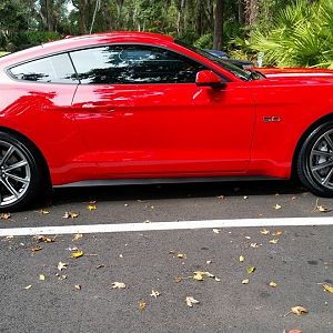 15 Premium GT