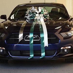 Karma with bow upon delivery 
November 24th, 2014