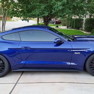 My Stang with Eibachs