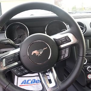 Steering Wheel