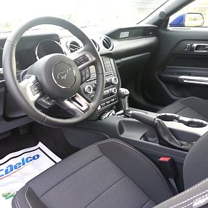 Interior 1