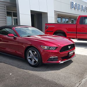 Leaving the Dealer