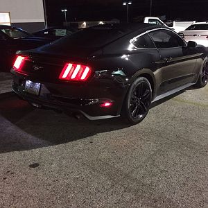 mustang