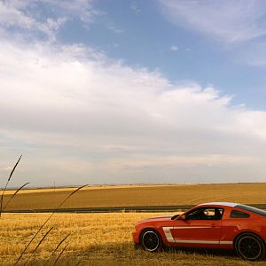 "Rukus" 
1 of 69 2012 Boss 302's built in Comp Orange/White, 1 of 47 with all options (mats, cover, recaro's, Torsen)

Car #0007

First Comp/Oran