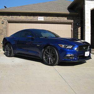 M6G 02