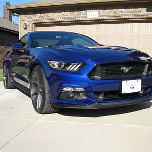 M6G 08