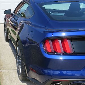 IMG 3499crop