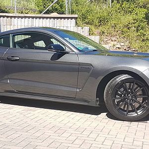 GT350 3