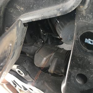 Oil dripping from filter