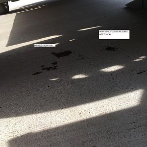 drops on ground with sources