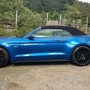 Side Shot