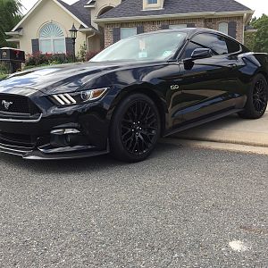 MyPony2
