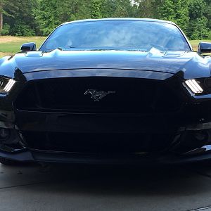 MyPony4