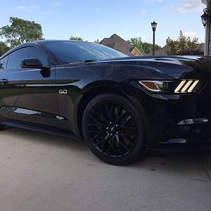 MyPony7