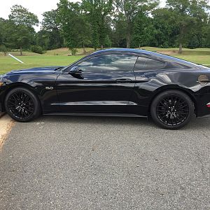MyPony8
