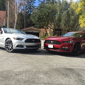 Stangs 2016 (no mods)