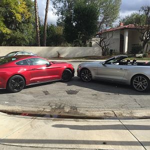 Stangs 2016 (no mods)