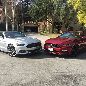 Stangs 2016 (no mods)