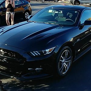 The Car