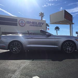 Las Vegas Shelby, 2016