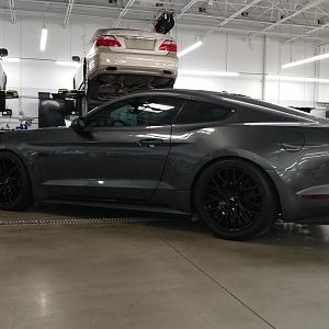 10323.jpg