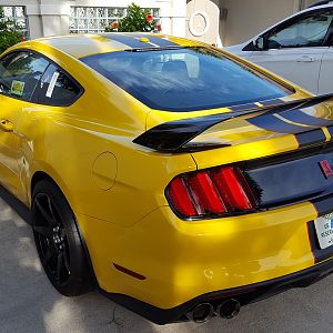 left rear