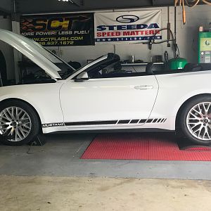 Steeda Dyno Tune