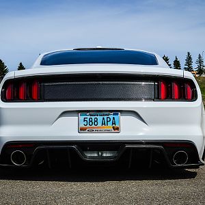 DSC 0313a
