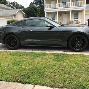 2016 MUSTANG GT PP PAXTON NOVI 2200